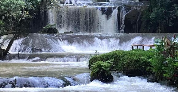 Jamaica: Full-Day YS Falls and Black River Safari Tour
