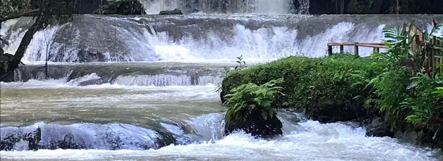 Jamaïque : Visite d'une jounée des chutes d'YS et safari à Black River