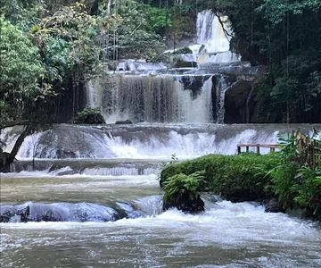 Jamaica: Full-Day YS Falls and Black River Safari Tour