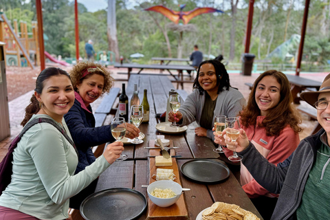 Baby Animals, Boomerangs & BBQ Lunch From Sydney: Baby Animals & Boomerangs Tour with BBQ Lunch