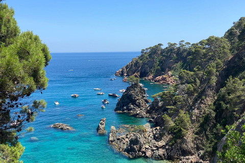 Barcelona: Private Trip, Girona, Medieval Town, Coast & Wine Private Day Trip