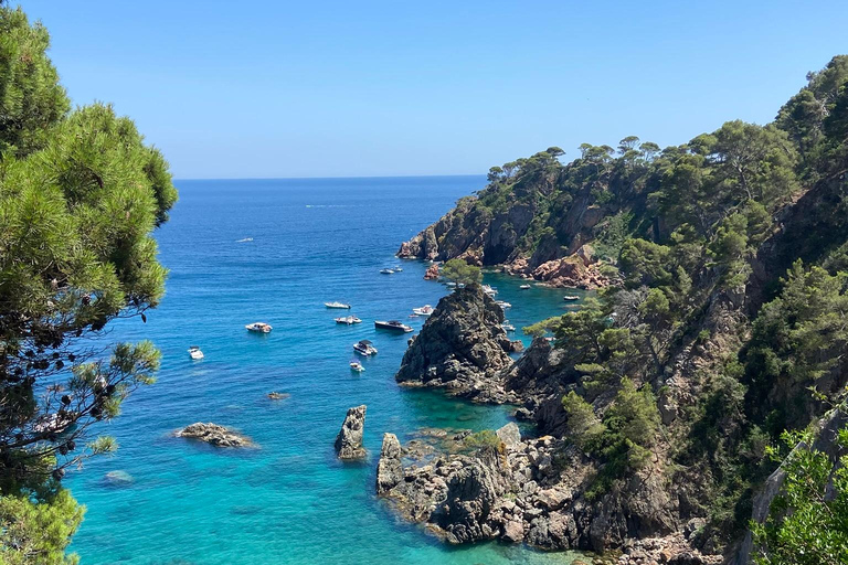 Barcelona: Private Trip, Girona, Medieval Town, Coast & Wine Private Day Trip