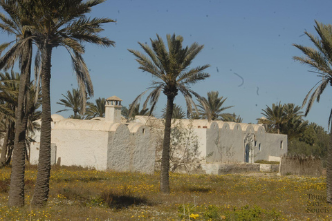 Djerba en 1 día: recorrido por la isla, lugares auténticos y Parque de los Cocodrilos.Djerba en 1 día: recorrido por la isla, lugares auténticos y parque de cocodrilos