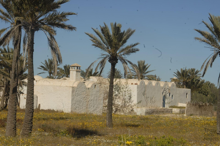 Djerba en 1 día: recorrido por la isla, lugares auténticos y Parque de los Cocodrilos.Djerba en 1 día: recorrido por la isla, lugares auténticos y parque de cocodrilos