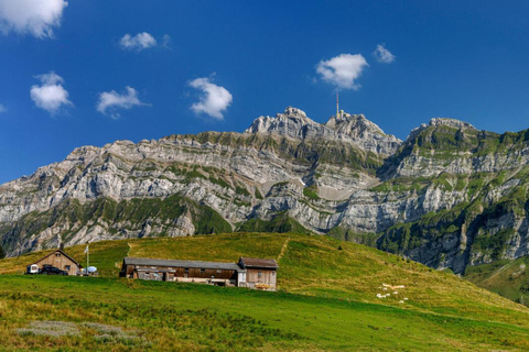 From Zurich: Mt. Säntis, St. Gallen Old Town, UNESCO Library