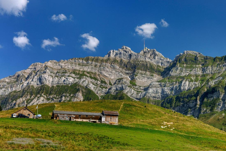 From Zurich: Mt. Säntis, St. Gallen Old Town, UNESCO Library