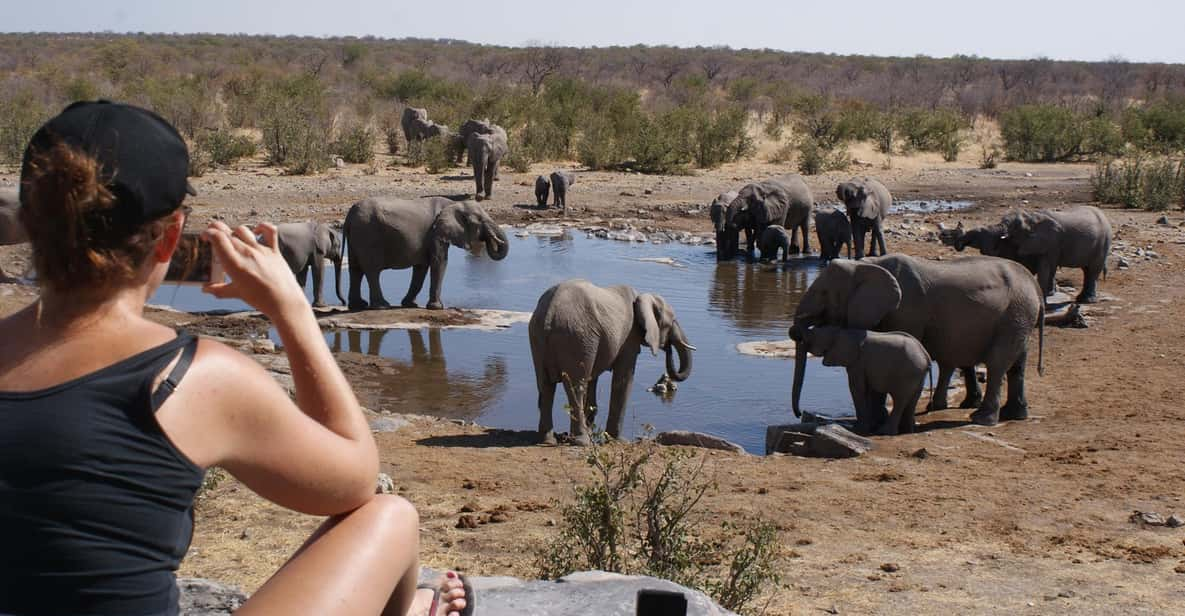 Windhoek - Windhoek: Classic Namibia Safari | GetYourGuide