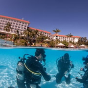 Mactan: PADI Open Water Diver Certification Course