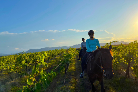 Hunter Valley: Sunset Horse Riding Tour 90min