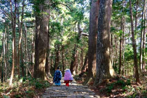 熊野速玉大社のチケットとツアー