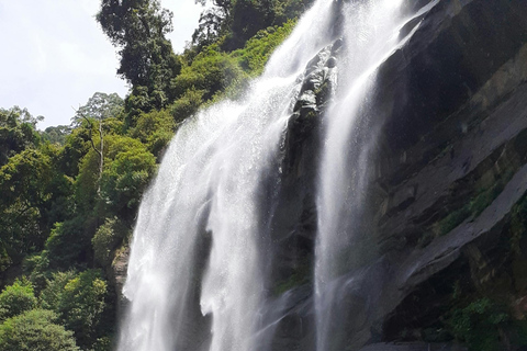Colombo to Aberdeen Falls Train Tour with private vehicle