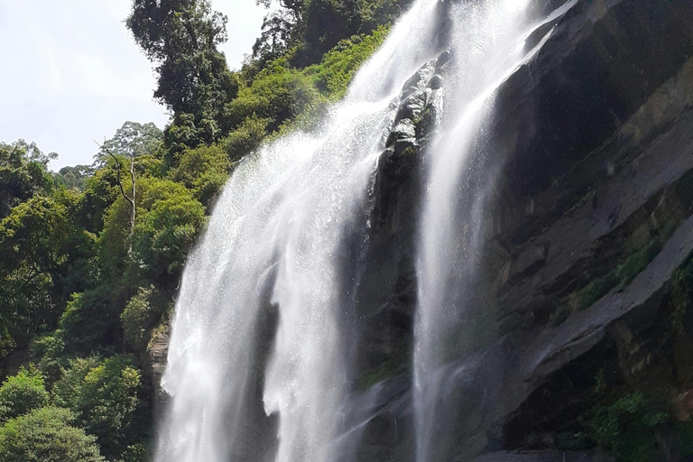 Colombo to Aberdeen Falls Train Tour with private vehicle