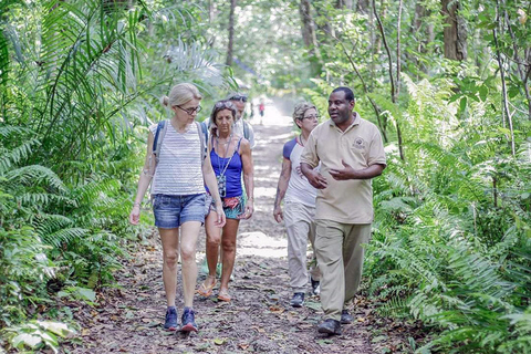 Zanzibar: Jozani Forest, Kuza Cave & Seaweed Farm Tour