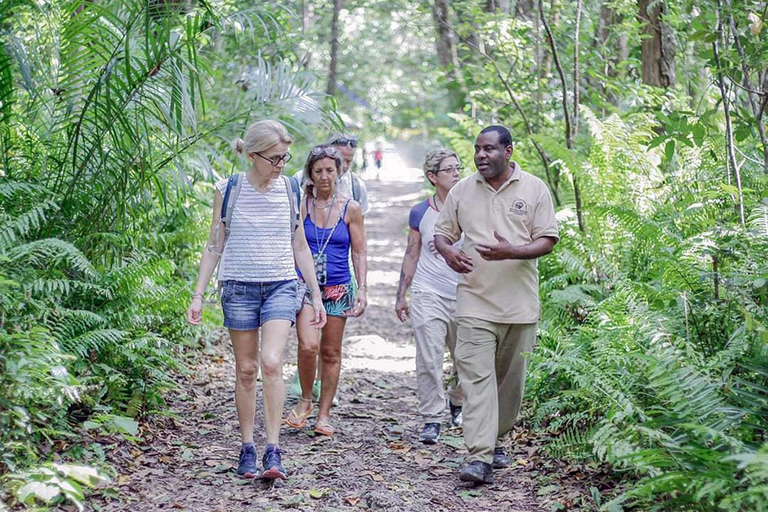 Zanzibar: Jozani Forest, Kuza Cave & Seaweed Farm Tour