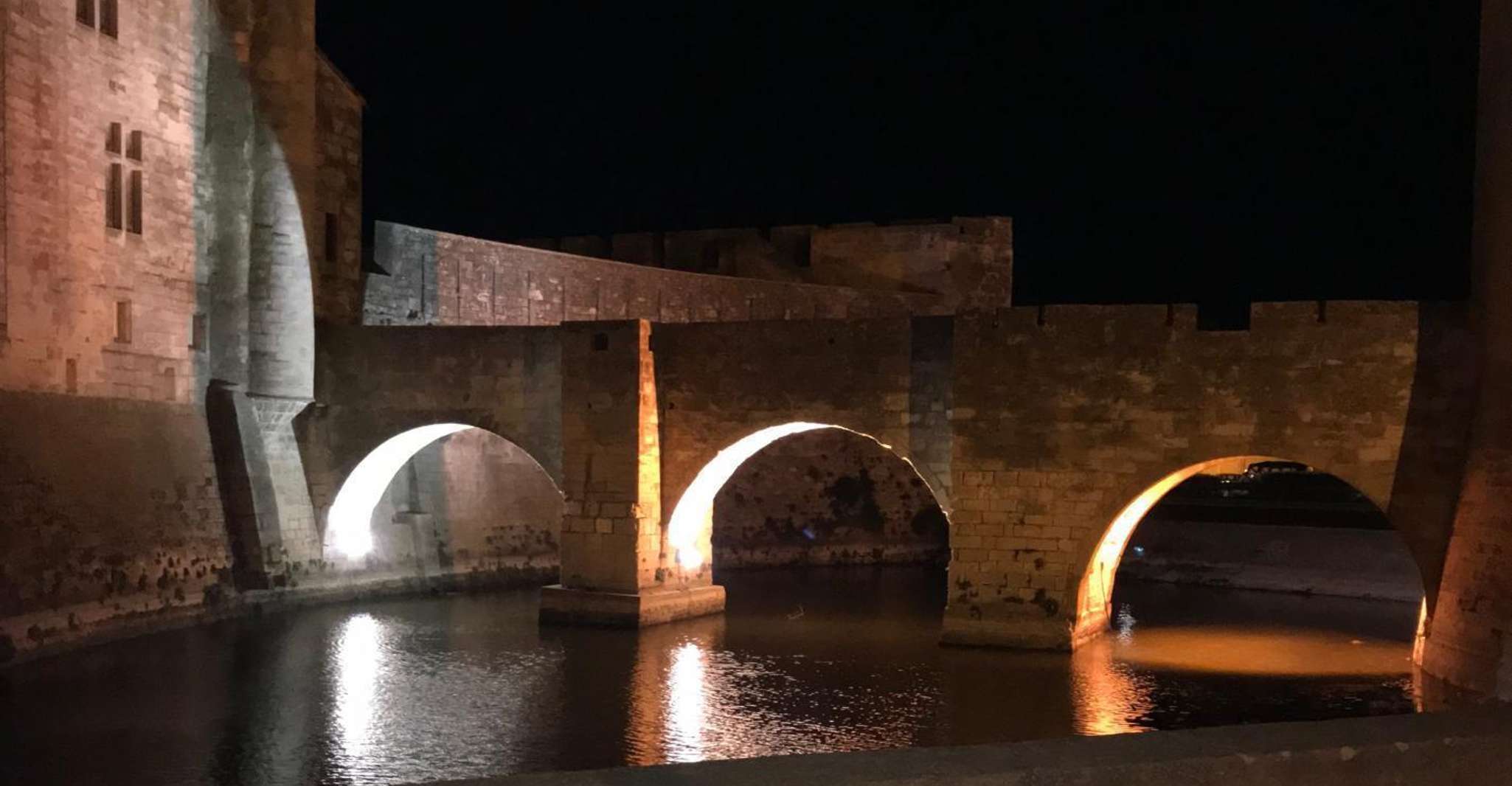 Le Grau du Roi, Half-Day Tour of Camargue - Housity