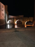 Le Grau du Roi, Half-Day Tour of Camargue - Housity