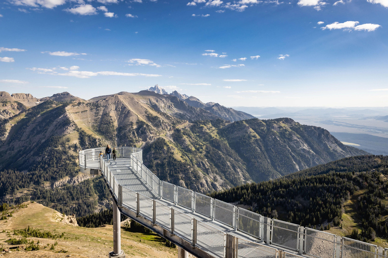 Jackson Hole: Aerial Tram and Gondolas Sightseeing Aerial Tram Only - Early Summer 2026