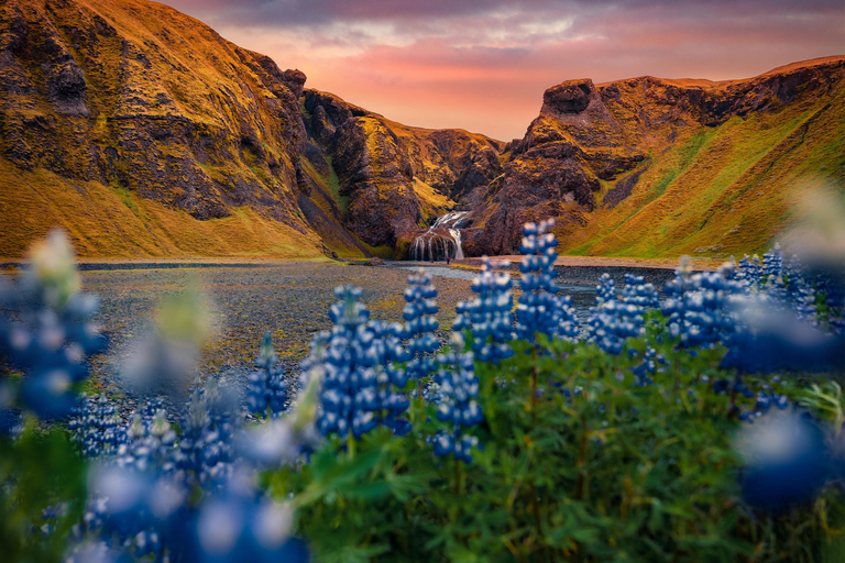 From Reykjavík: Diamond Beach, Glacier Lagoon & Boat Tour Free pick up from Bus Stop #12 with BOAT ride