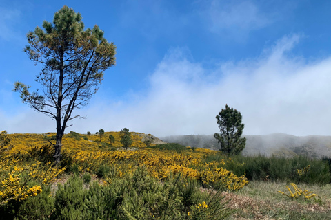 Excursión Este: Excursión clásica en jeep al Este de Madeira - Santana