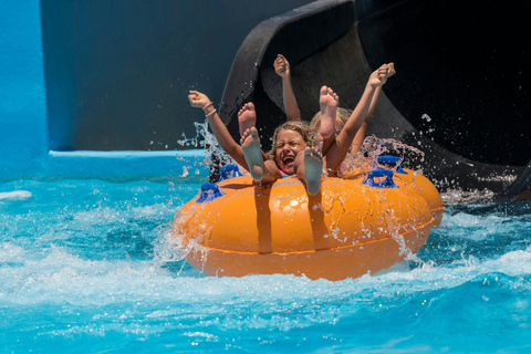 Fuerteventura: Acua Water Park Entry with Transfer service