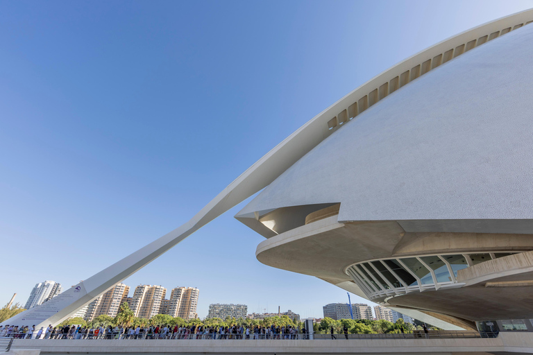 Valencia: Visit the Palau de Les Arts with an audio guide. Valencia: Check out the Palau de Les Arts with an audio guide.