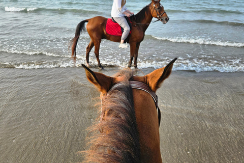 Équitation à Oman