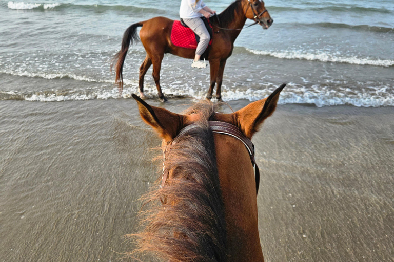 Équitation à Oman