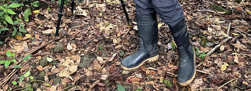 Combo Tour, Volcan Poas, Plantations de café et vue sur les chutes d'eau.