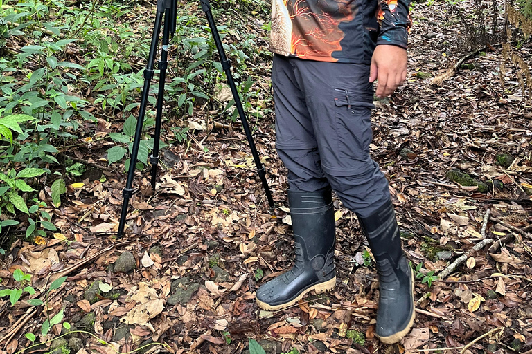 From San Jose: Poas Volcano National Park Guided Tour