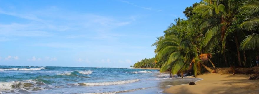 Punta Uva : Kayak et randonnée dans la forêt tropicale