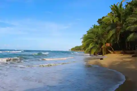 Punta Uva: Kayak & Rainforest Hike