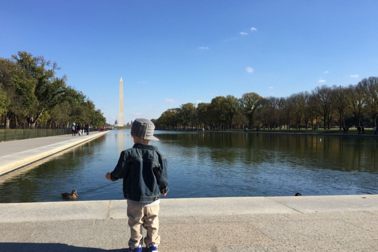 Washington, DC: Private National Mall Walking Tour