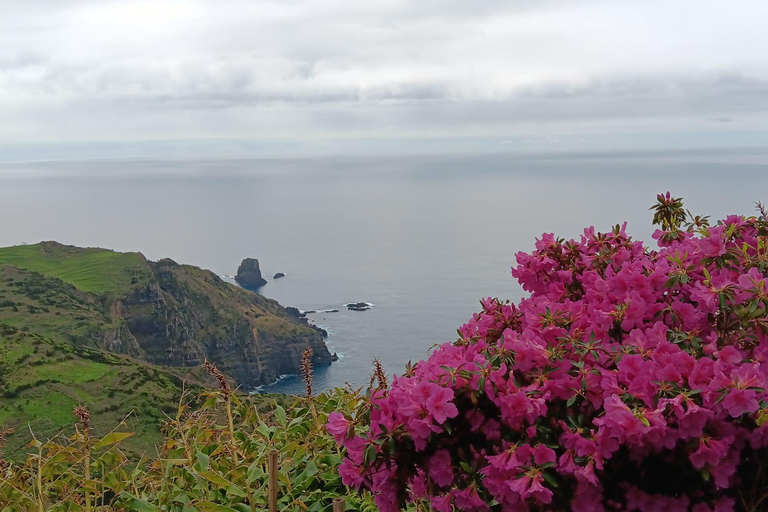 Flower Island: Van Tour