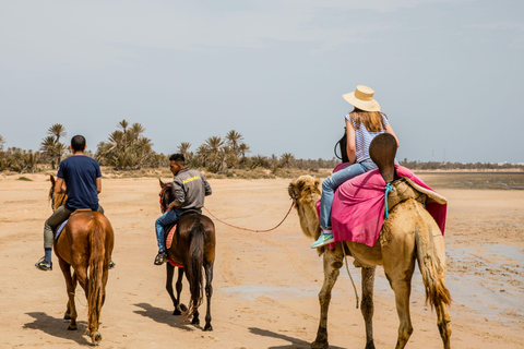 Paquete familiar: reserva tres excursiones y disfruta de una gratis.