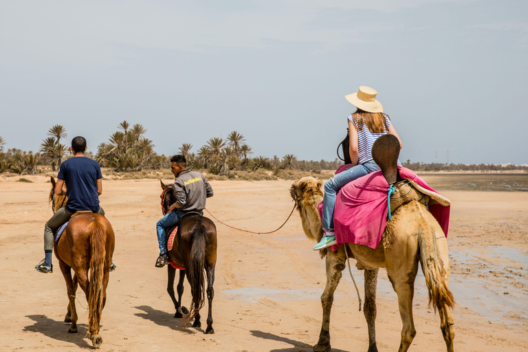 Paquete familiar: reserva tres excursiones y disfruta de una gratis.