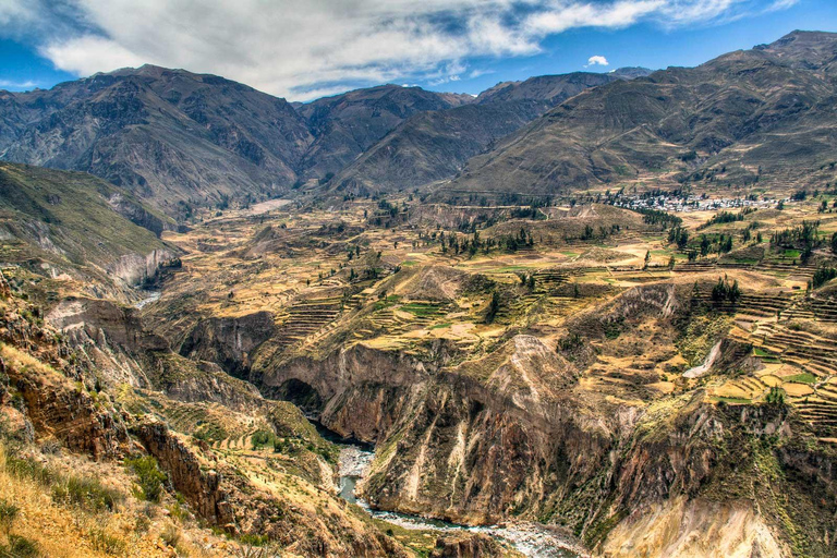 Da Arequipa: Valle del Colca e bagni termali Viaggio in piccolo gruppo