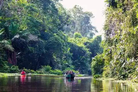 Tortuguero: Canoe Tour and Turtle Nesting Tour Package