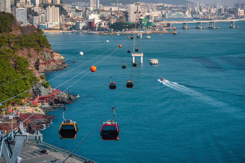 Busan: Full-Day Cable Car & Tower【Chinese Driver】 Door-to-door pickup