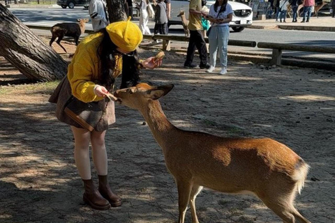 Kyoto &amp; Nara: Erfgoed en natuurlijke wonderen tour (vanuit Osaka)