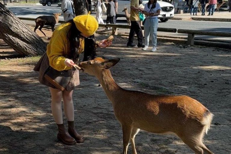 Kyoto &amp; Nara: Kulturerbe und Naturwunder Tour（Ab Osaka)