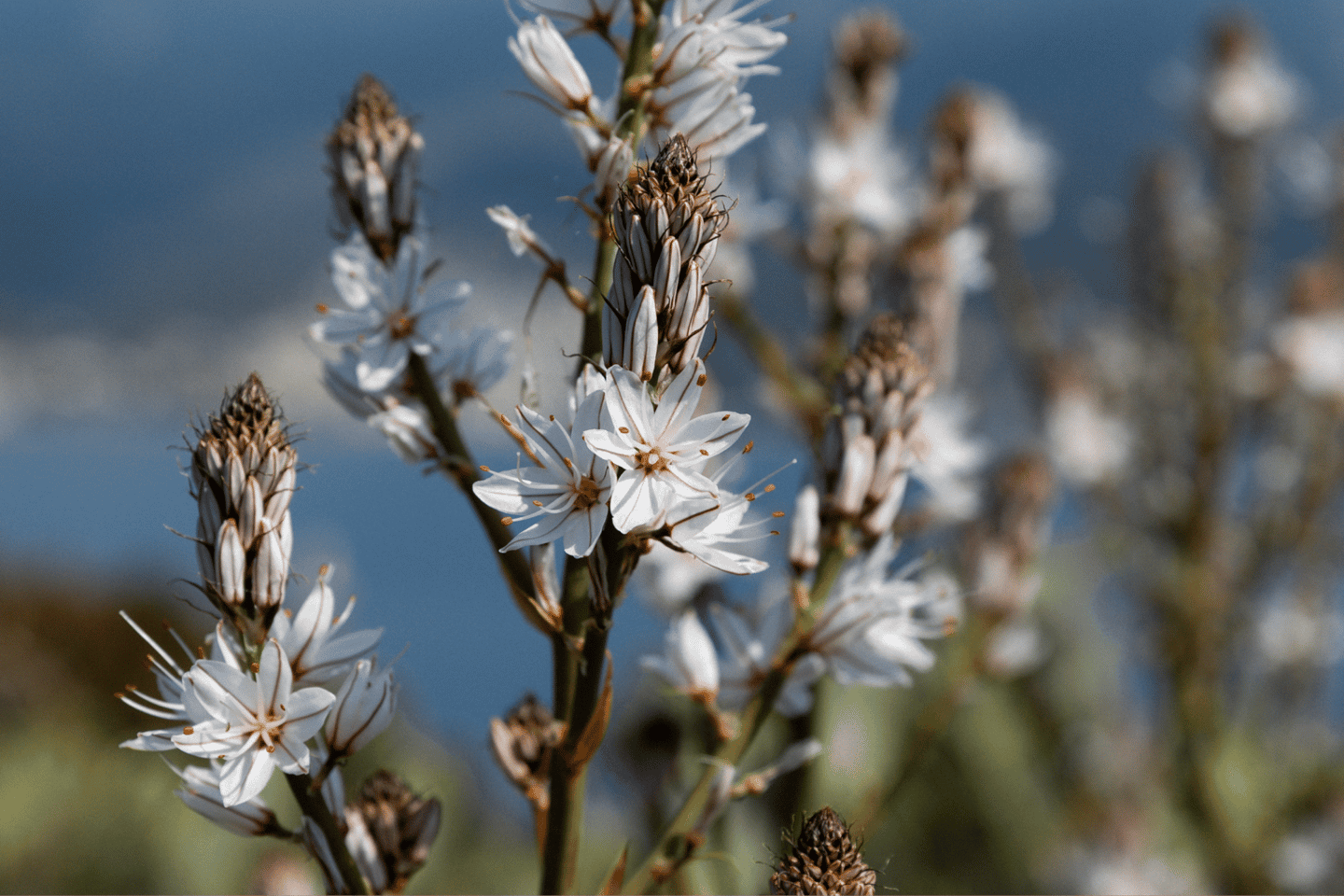 Budva: Kayak & Hike Experience on Sveti Nikola Island