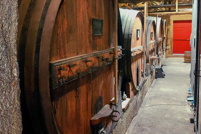Douro Valley: Private Wine Tour with Lunch
