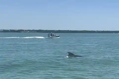 Indian Rocks Beach: Guided Jet Ski Adventure