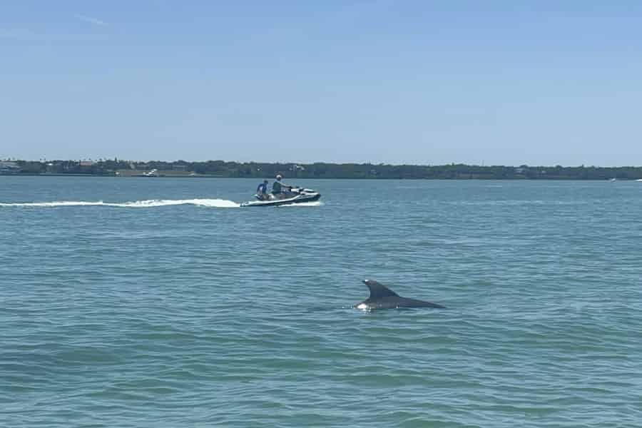 Indian Rocks Beach: Geführtes Jet-Ski-Abenteuer. Foto: GetYourGuide
