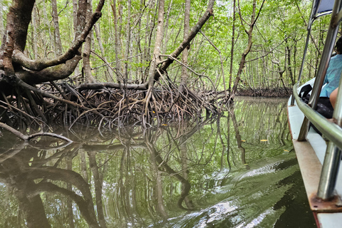 Langkawi : Tour delle mangrovie in kayak con pranzo (pomeriggio)