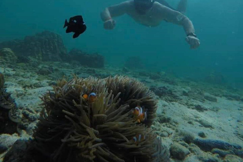 Paquete de 2 días, 1 noche y actividades en la isla Phi Phi