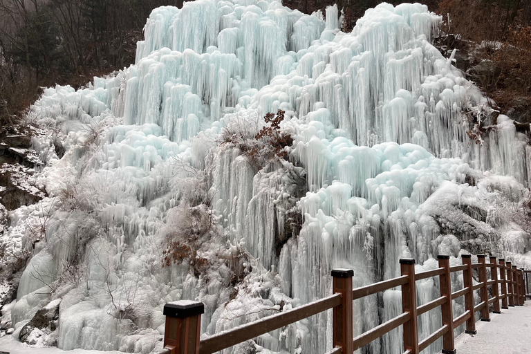 Seul: Elysian Ski + Eobi Ice Valley + NamiOdjazd ze stacji Hongik Univ. wyjście 8.