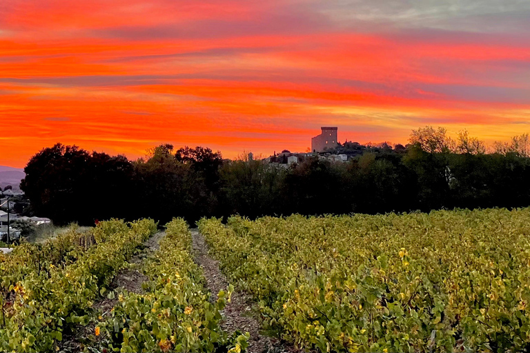 Wine Tour: On the Way to Chateauneuf du Pape