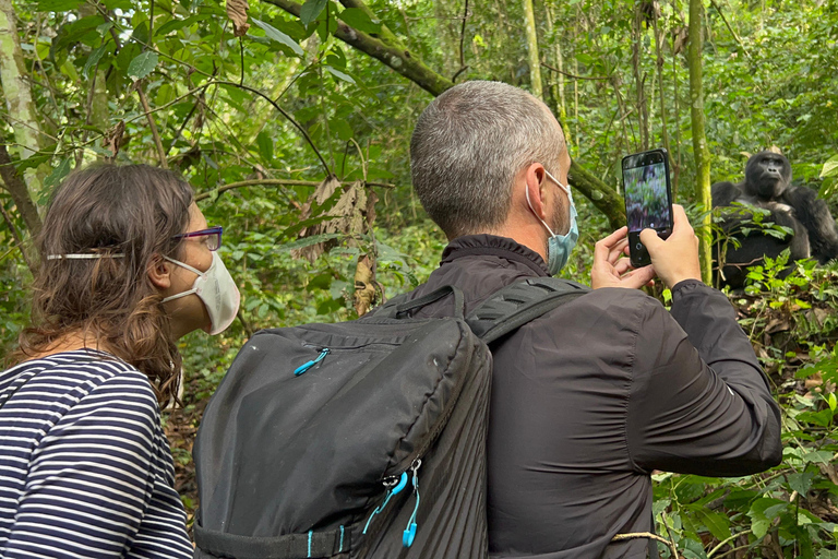 1 Daagse Oegandese Gorilla trektocht vanuit Kigali, Rwanda