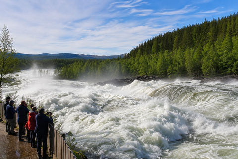 From Tromsø: Polar Park & Målselvfossen Full-Day Tour